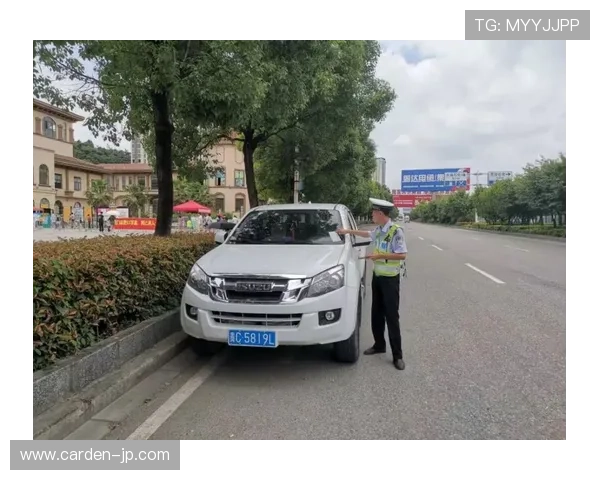 尊龙网页版下载安全保障措施，确保您的账号信息安全无忧