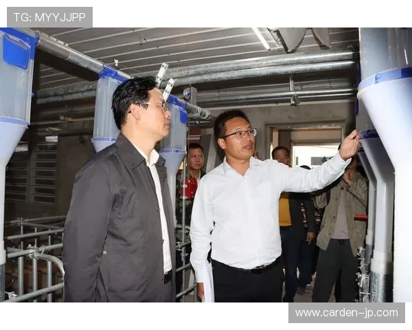 中国开云ap技术如何提升企业网络安全与管理效率