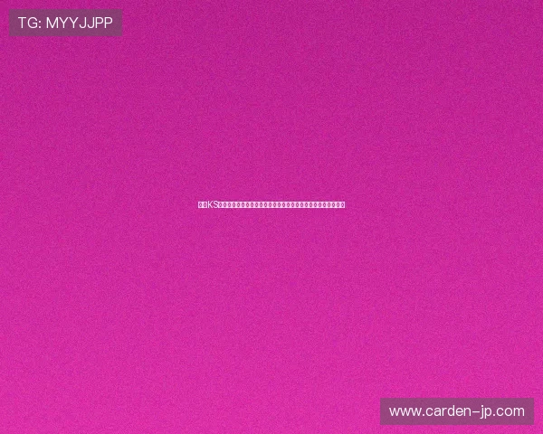 凯时KS棋牌：专业客服全天在线为玩家提供贴心的技术支持与服务保障