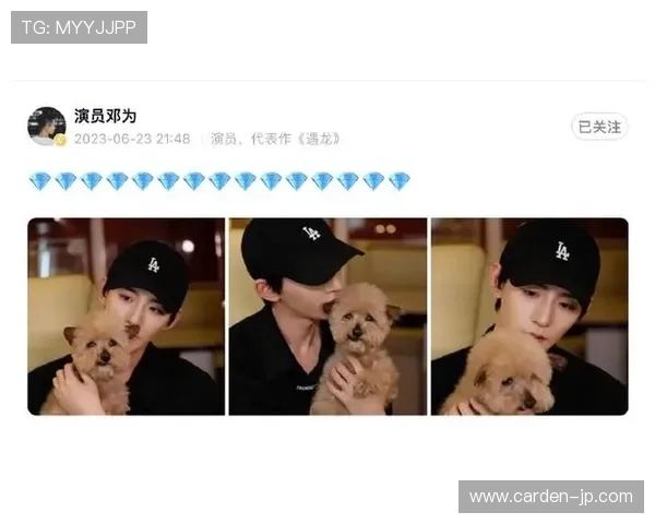 尊龙微博粉丝互动活动回顾明星与粉丝的温馨时刻 尊龙微博粉丝互动活动回顾明星与粉丝的温馨时刻