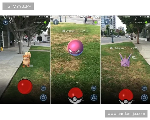 探索尊龙备用的游戏种类与用户体验