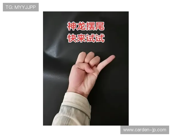 尊龙真人手机版详细介绍真人游戏玩法和操作技巧帮助新手快速上手